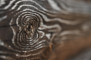 Cedarfort - Enduring Strength in Nature: The Materials & Structure of the Cedarfort Collection